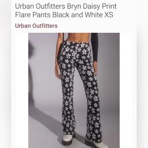 Bryn Daisy Print Flare Pants - L (NWT)